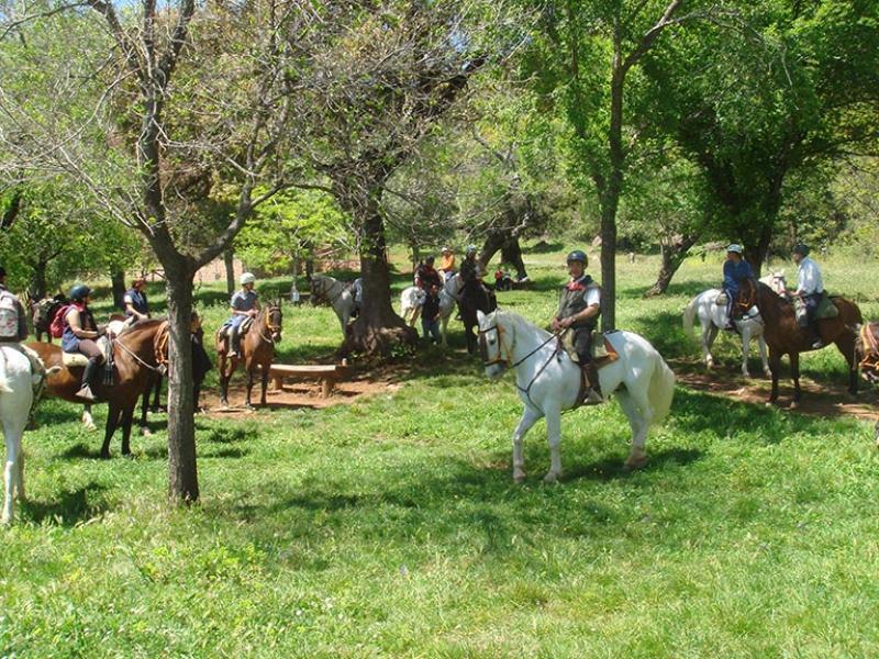 Casa Tinoco Casa Rural Categoria Superior Fuenteheridos Eksteriør billede
